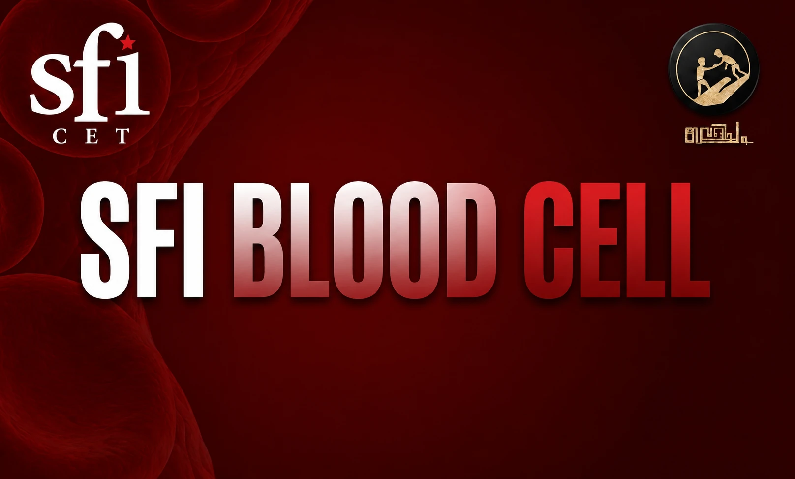 SFI Blood Cell